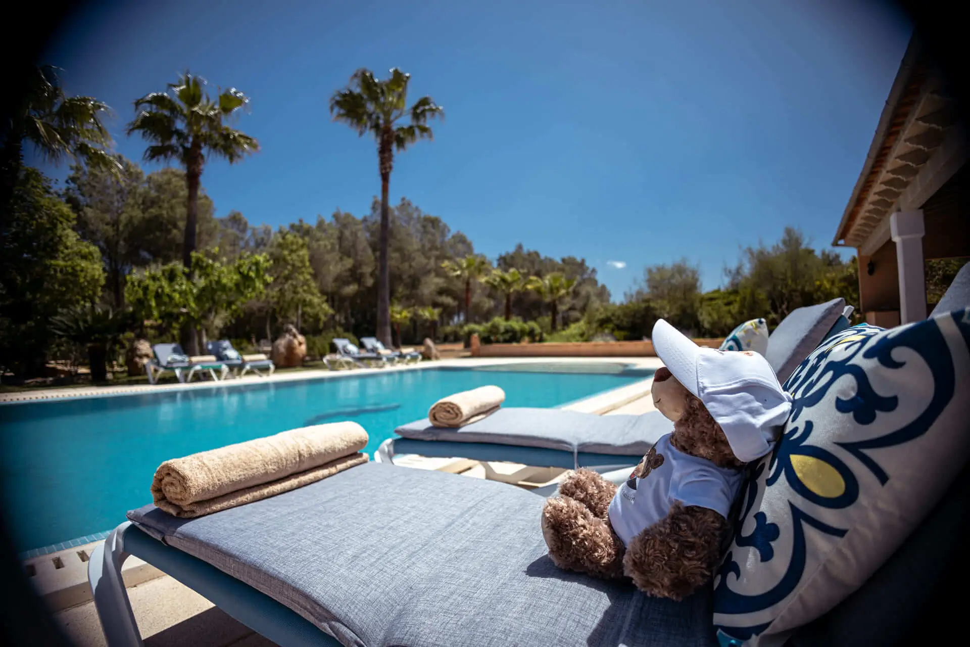 Finca-can-trius-pool-with-teddy
